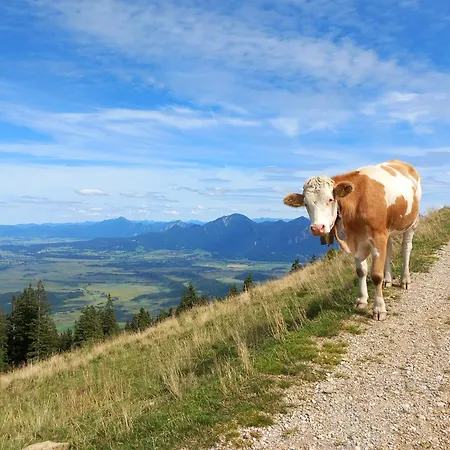 Ammergauer Vier Jahreszeiten Bad Kohlgrub