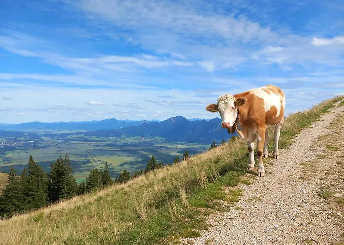 Ammergauer Vier Jahreszeiten Bad Kohlgrub
